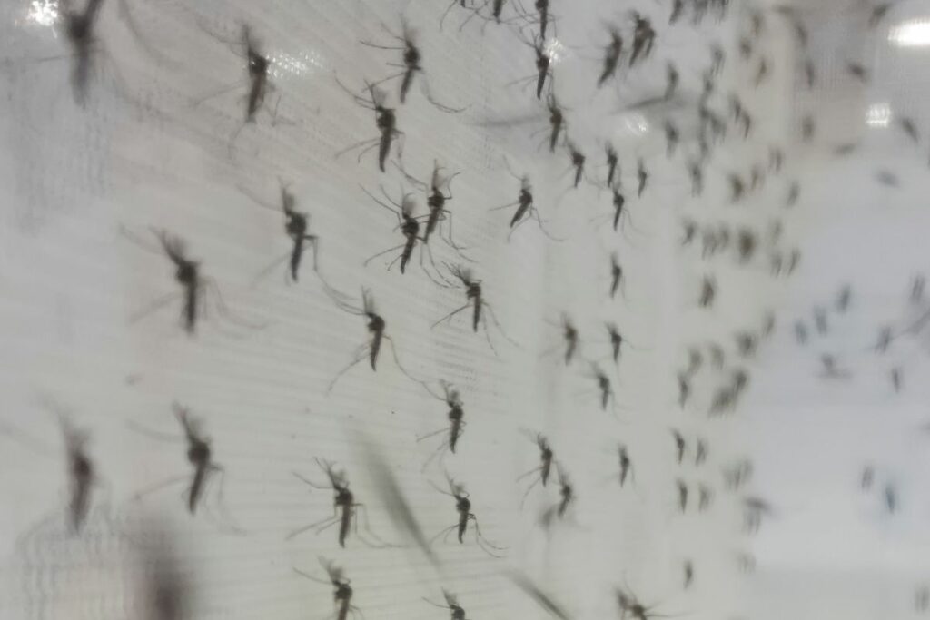 ¿Cómo evitar mosquitos en tu negocio? - Abecor