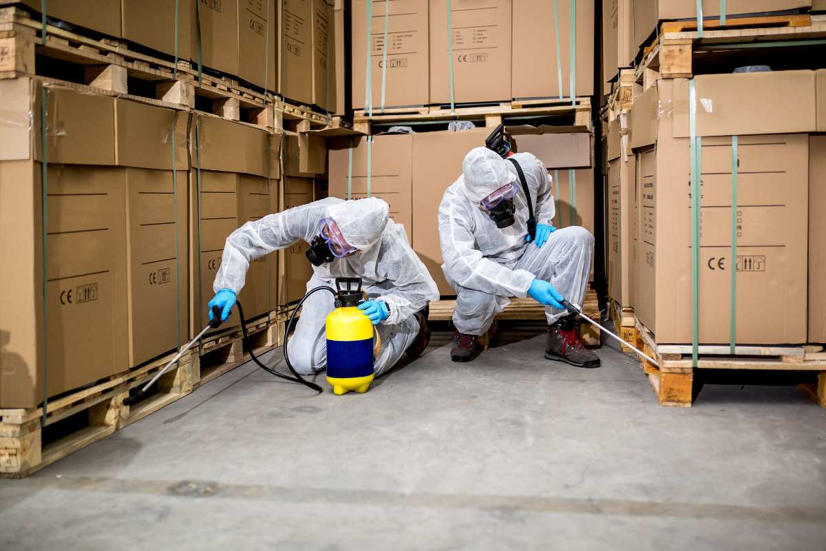 ¿Qué es una nebulización en el control de plagas? - Abecor